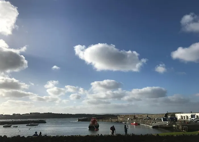The Harbour Studio